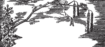 Занимательная ботаника (изд. 1951) - i_046.png