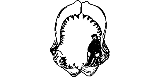 Занимательная ихтиология - i_032.png