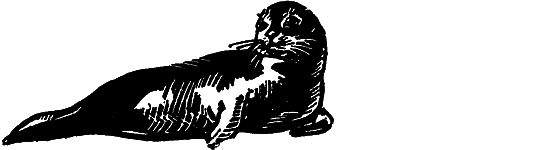 Занимательная ихтиология - i_053.png