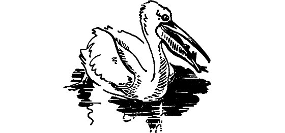 Занимательная ихтиология - i_058.png