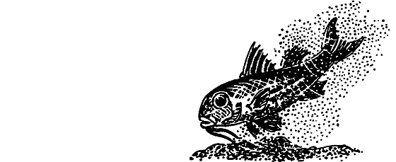 Занимательная ихтиология - i_075.png