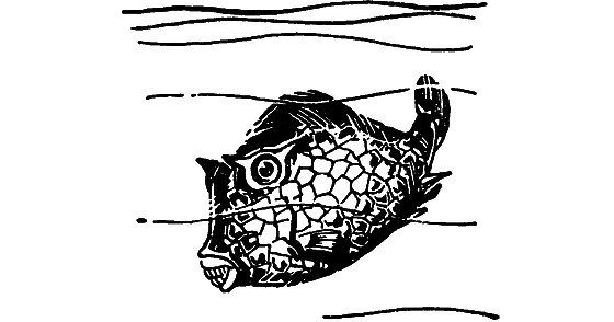 Занимательная ихтиология - i_088.png