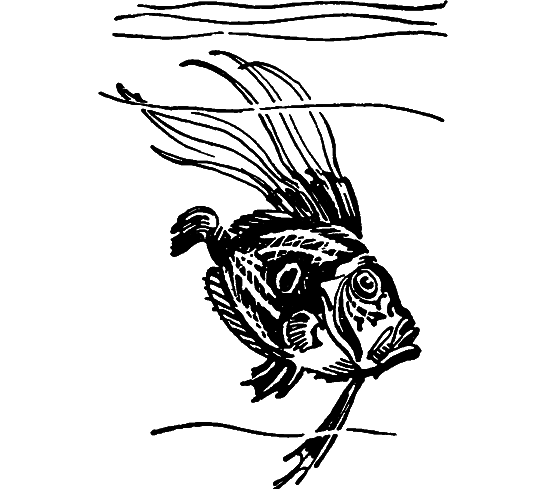 Занимательная ихтиология - i_094.png