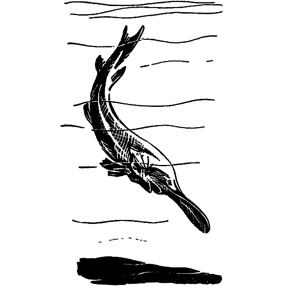 Занимательная ихтиология - i_107.png