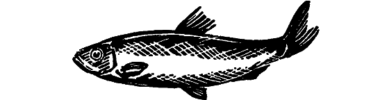 Занимательная ихтиология - i_118.png