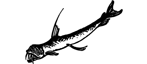 Занимательная ихтиология - i_134.png