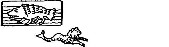 Занимательная ихтиология - i_151.png