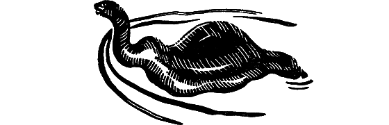 Занимательная ихтиология - i_153.png