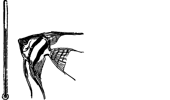 Занимательная ихтиология - i_160.png