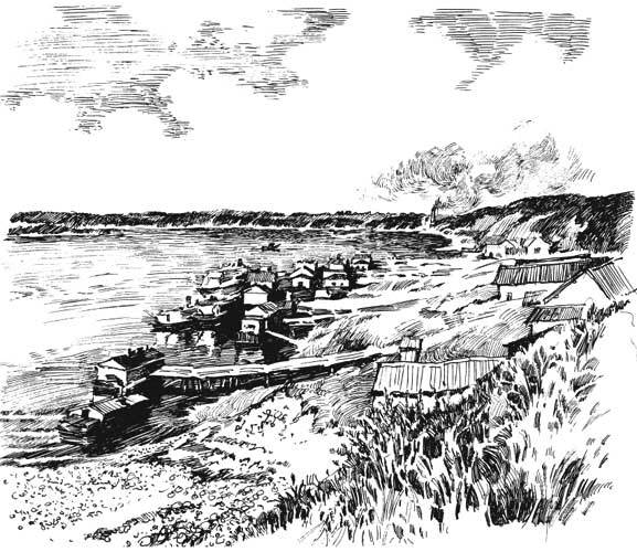 Арабески ботаники. Книга вторая: Томские корни - perm.jpg