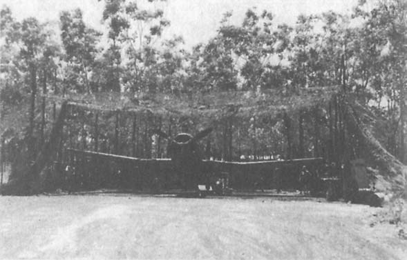 Пикировщики над джунглями - _07.jpg