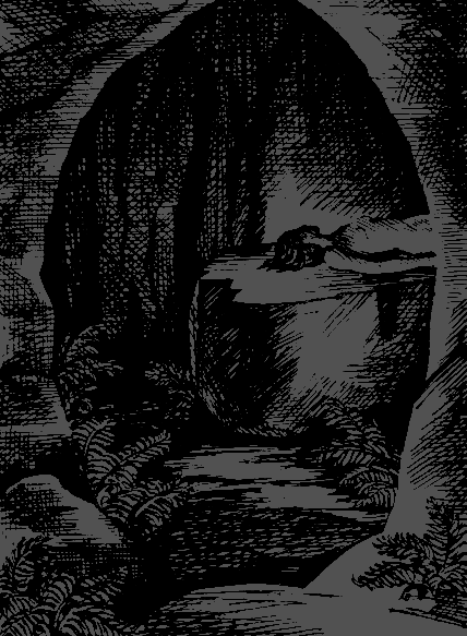Пещера и тени - i_002.png