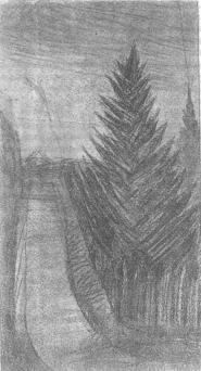 Небесные верблюжата. Избранное - i_005.jpg