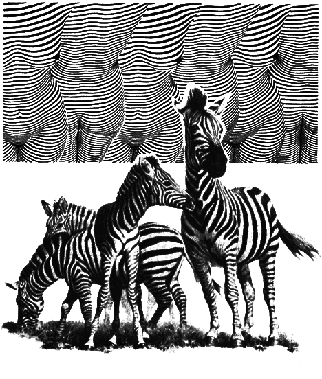 Звери = боги = люди - i_004.png