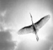 Окрыленные верой - _12.jpg