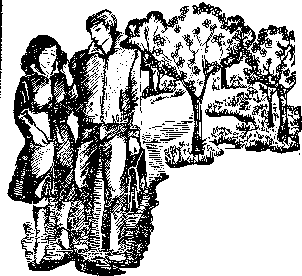 Золотая подкова (сборник) - i_005.png