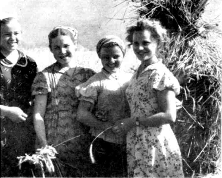 От Белого моря до Черного - img_16.jpeg