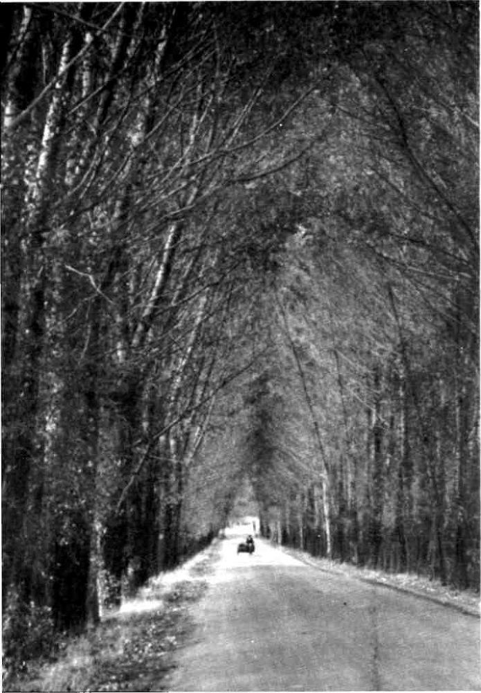 От Белого моря до Черного - img_46.jpeg