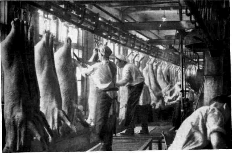 От Белого моря до Черного - img_63.jpeg