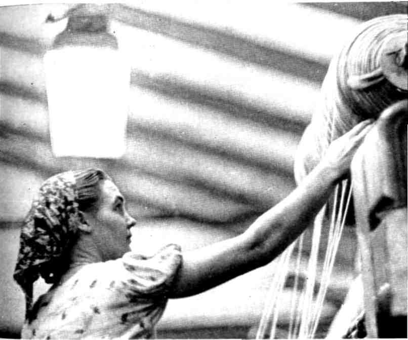 От Белого моря до Черного - img_65.jpeg