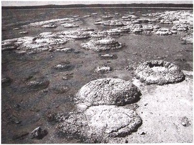 Эволюция Вселенной и происхождение жизни - img9680.jpg