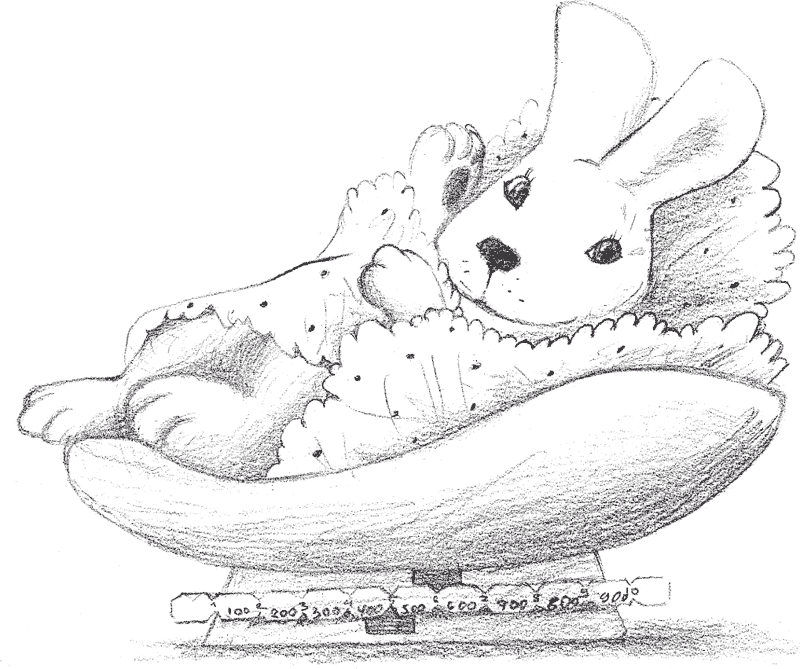 Справочник здравомыслящих родителей. Часть первая. Рост и развитие. Анализы и обследования. Питание. Прививки - i_006.png