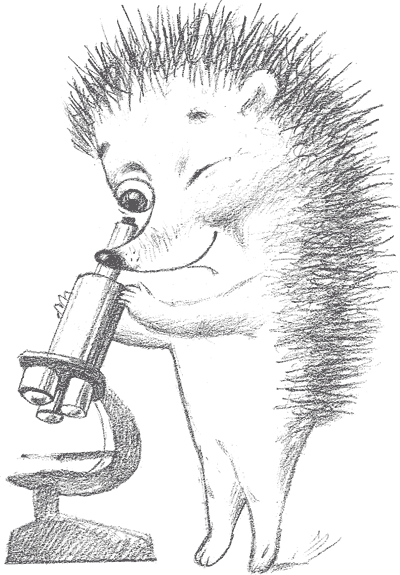 Справочник здравомыслящих родителей. Часть первая. Рост и развитие. Анализы и обследования. Питание. Прививки - i_065.png