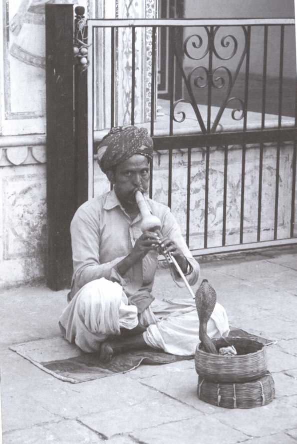 Тайные общества Черной Африки - i_007.jpg