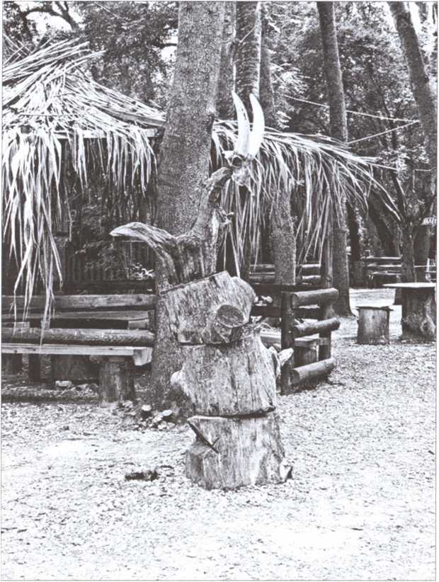 Тайные общества Черной Африки - i_010.jpg