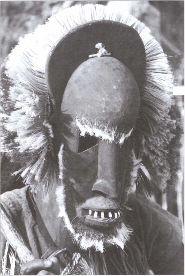 Тайные общества Черной Африки - i_011.jpg