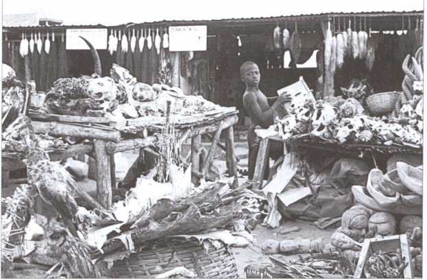 Тайные общества Черной Африки - i_015.jpg