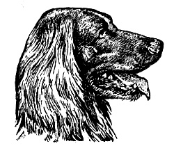 Мой тайный мир - i_010.jpg