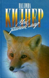 История барсучихи - автор Киднер Паулина 