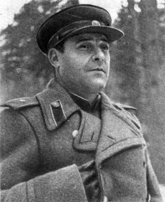 Гвардейцы Сталинграда идут на запад - i_045.jpg