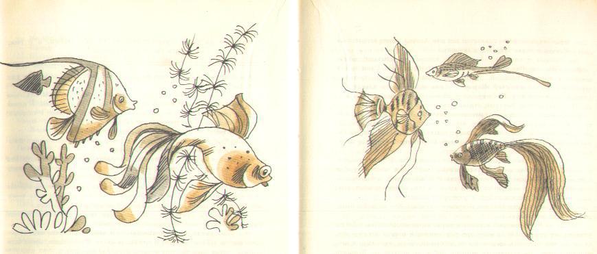 Анечка из первого «А» и другие - i_022.jpg