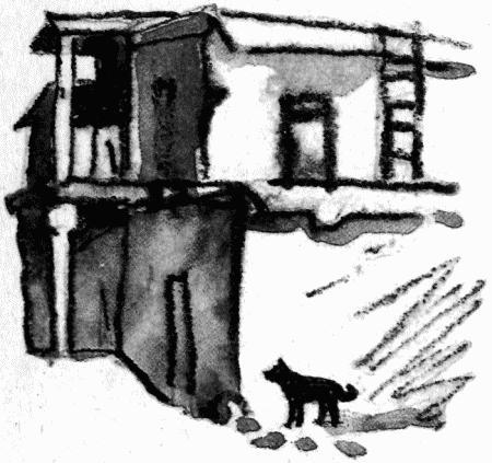 Верный друг Махача - i_001.jpg