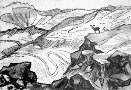 Верный друг Махача - i_006.jpg