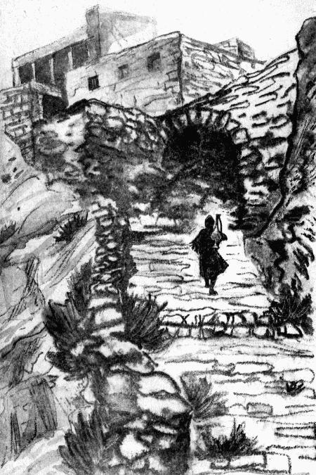 Верный друг Махача - i_008.jpg