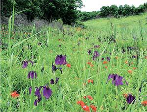 Дальний Восток. Путеводитель - i_045.jpg