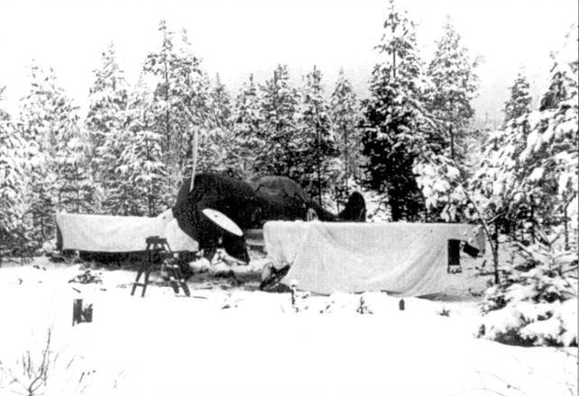 Финские асы против «сталинских соколов» - pic_2.jpg