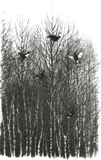 Хорюшка - _018.png