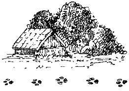 Хорюшка - _019.png