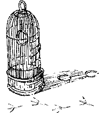 Хорюшка - _024.png