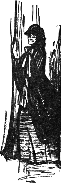 Собрание сочинений. том 7. - i_048.png