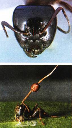 Юный техник, 2011 № 01 - _20.jpg