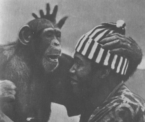 Шимпанзе горы Ассерик - i_036.jpg