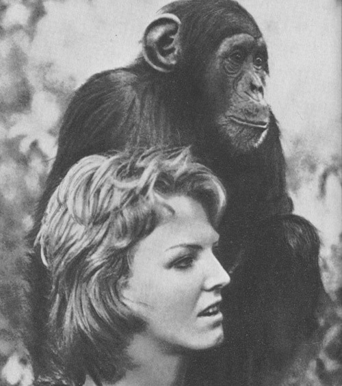 Шимпанзе горы Ассерик - i_053.jpg