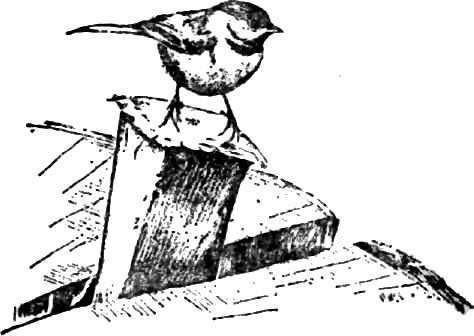 Календарь песчаного графства - i_005.jpg