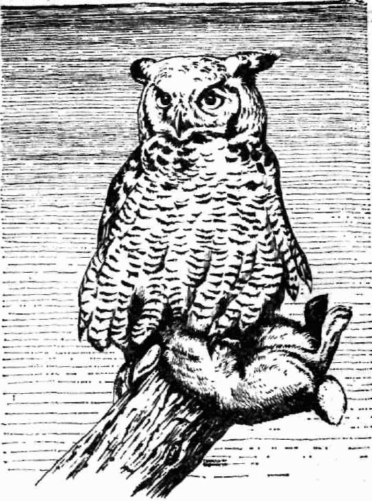 Календарь песчаного графства - i_042.jpg