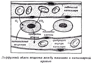 Секреты гирудотерапии - i_032.jpg